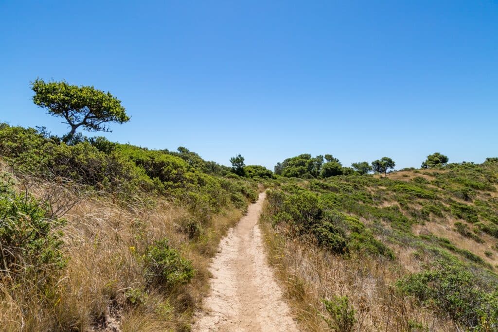 angel island que faire