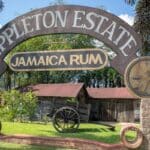 fabrique de rhum appleton en Jamaique