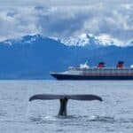 Croisière en Alaska