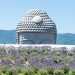 colline du bouddha au Japon