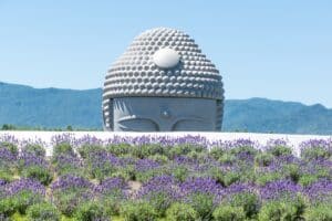 colline du bouddha au Japon