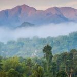 Les montagnes bleues de la Jamaïque