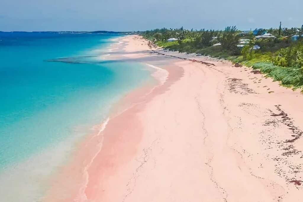 pink sands beach