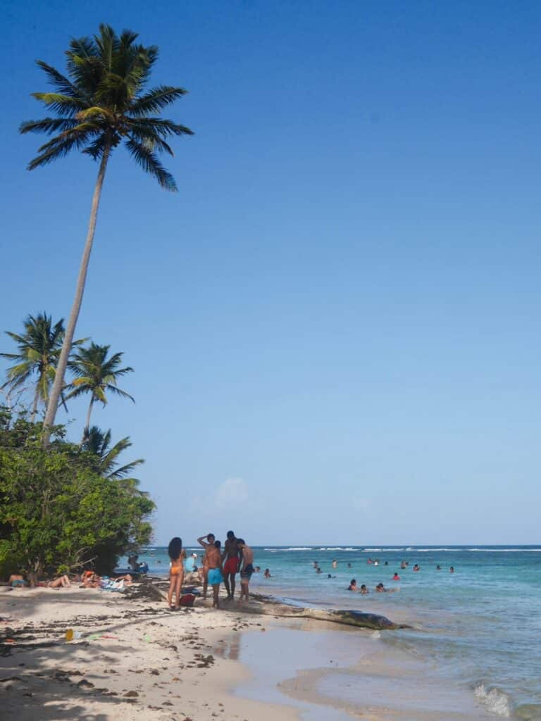 plage de Bois Jolan à Sainte-Anne