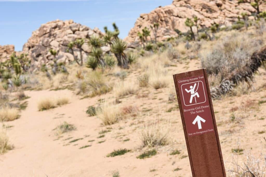 sentier de randonnée à Joshua tree