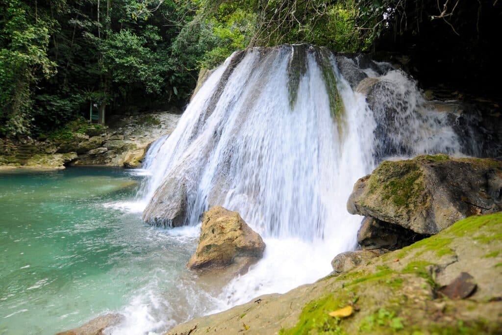 Reach Falls Jamaique