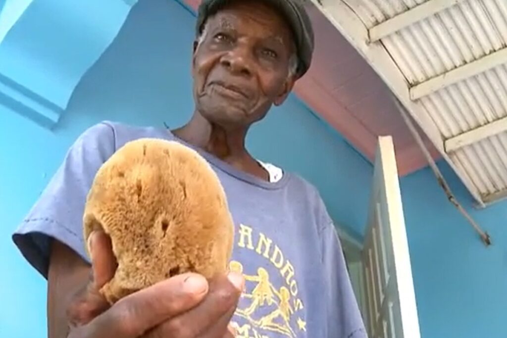 que faire sur l'île d'andros aux bahamas