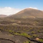 Meilleur moment pour aller à Lanzarote