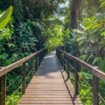 Parc national de Cahuita