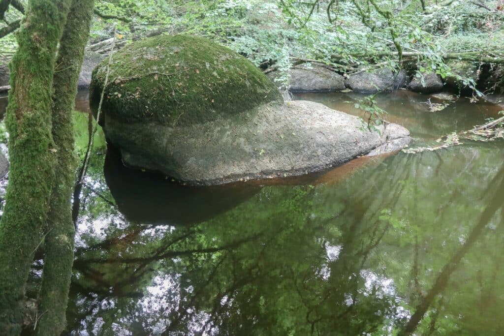 gros rocher au milieu de la rivière