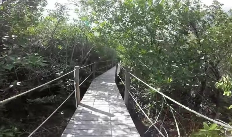 chemin cenote xcacel