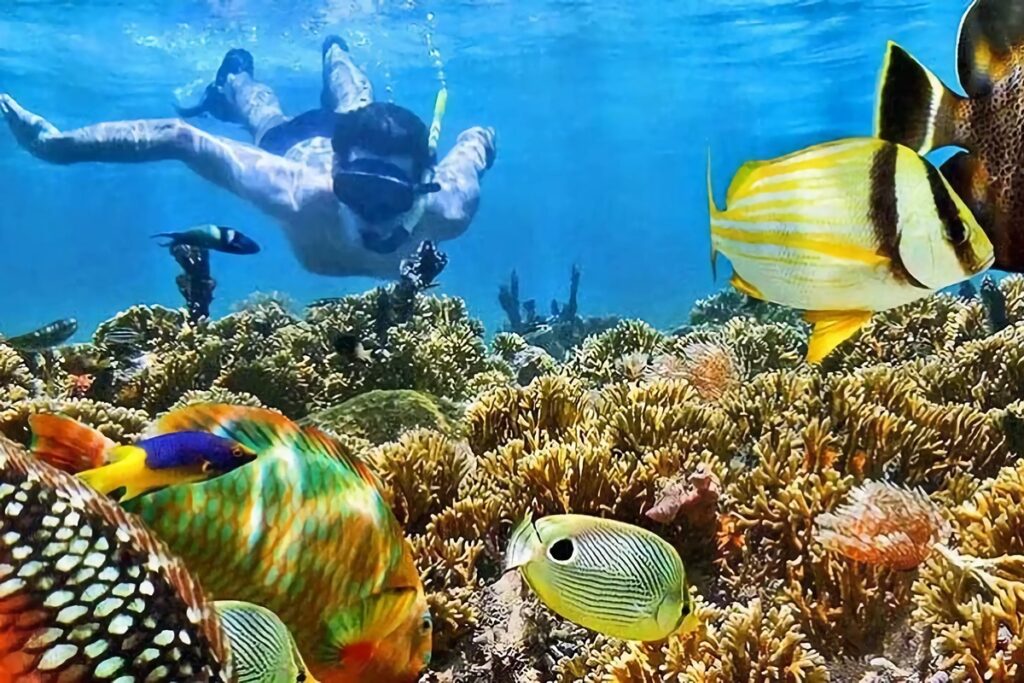 snorkeling