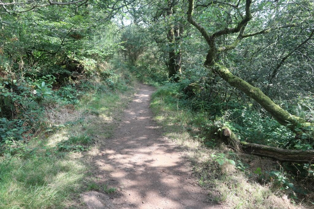 sentier de randonnée