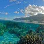 Plonger à Moorea
