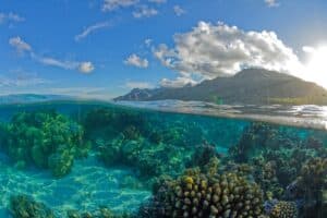 Plonger à Moorea
