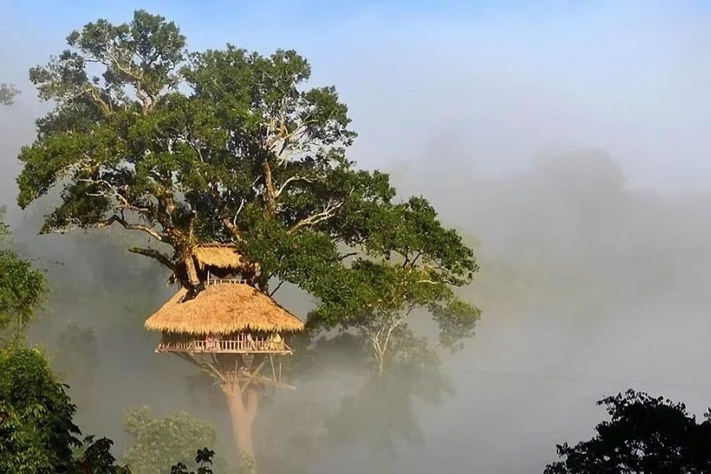 cabane dans un arbre à bokeo