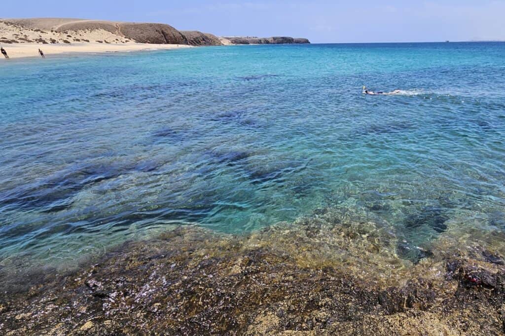 snorkeling à playa mujeres
