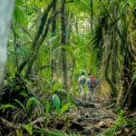 Parc national Corcovado randonnée