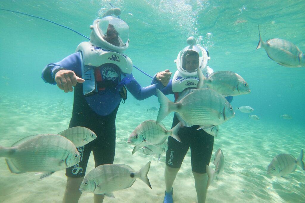 activité sea trek à lanzarote