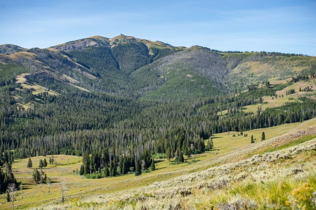 Mount Washburn Trail