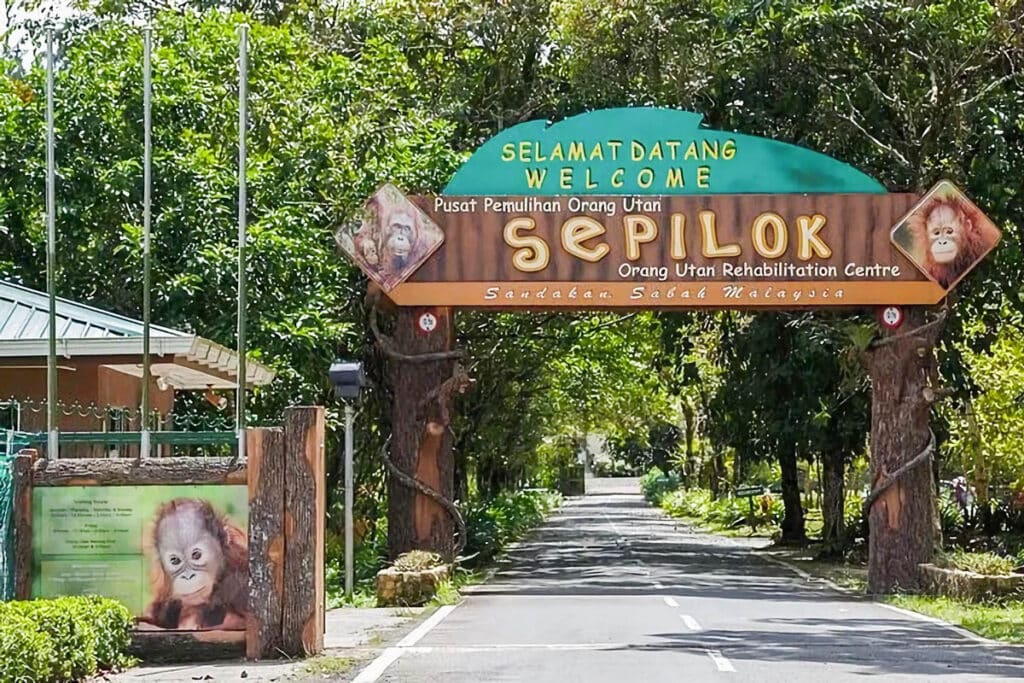 Centre de réhabilitation des orangs-outans de Sepilok