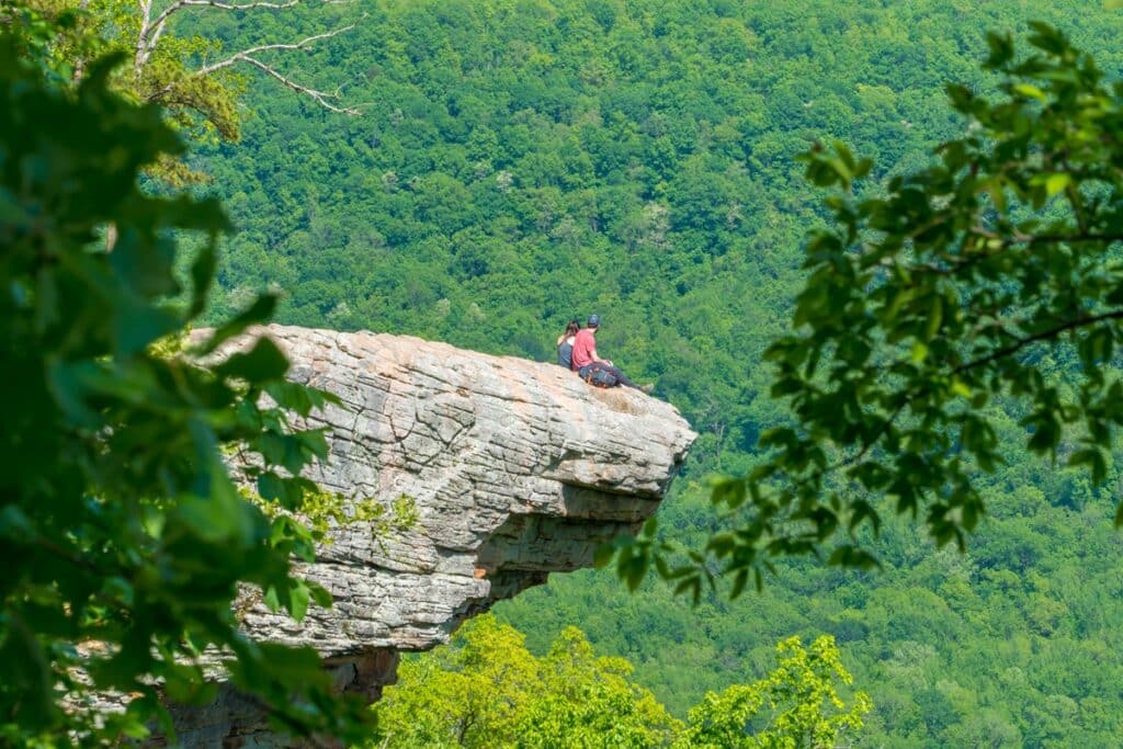 Whitaker Point