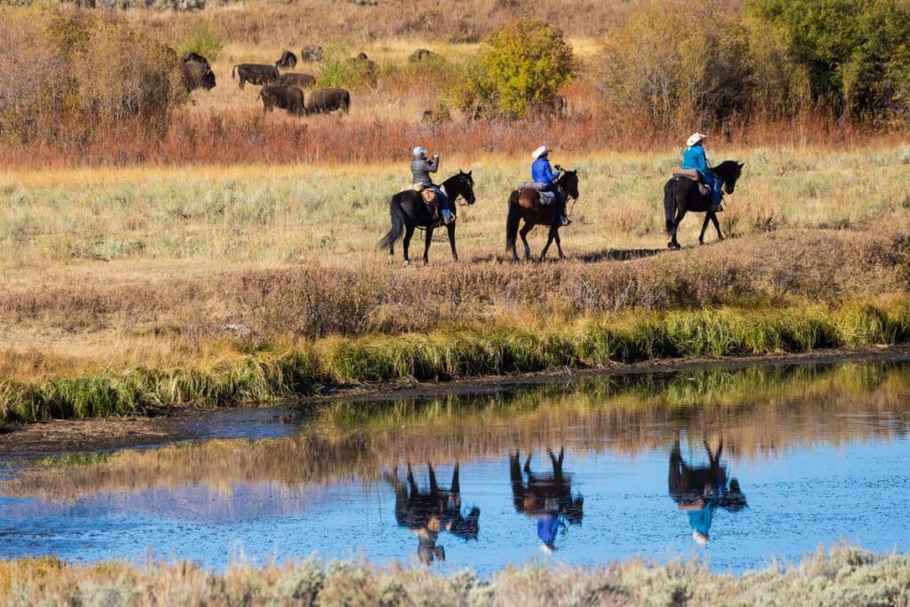 balade à cheval dans Yellowstone
