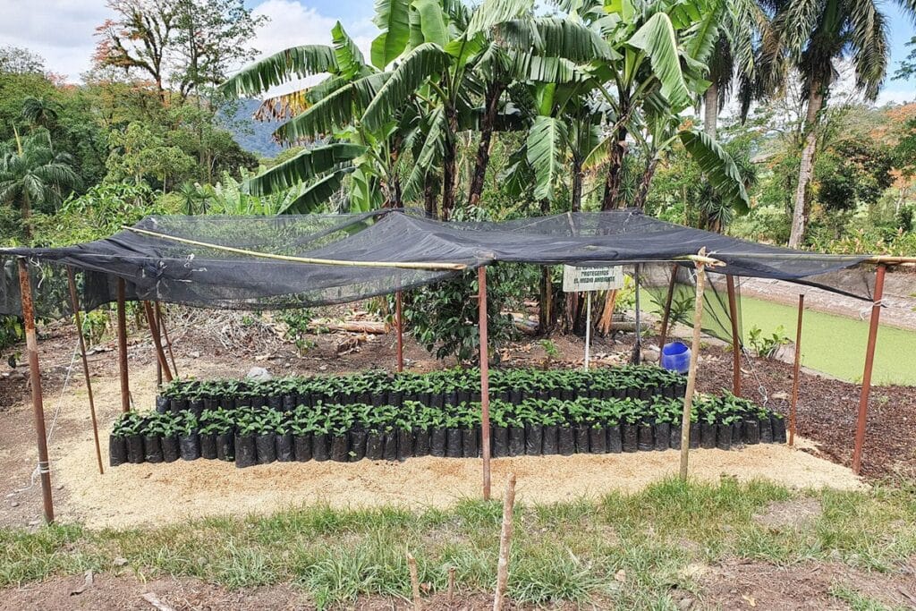 que faire à Turrialba