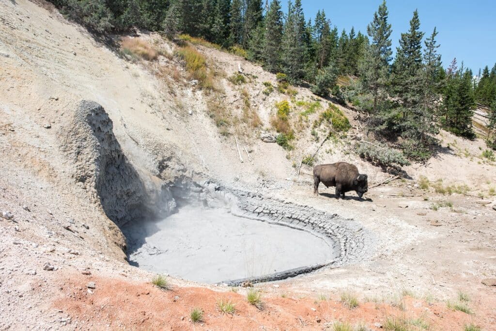 Mud Volcano à Yellowstone