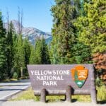 parc national de Yellowstone