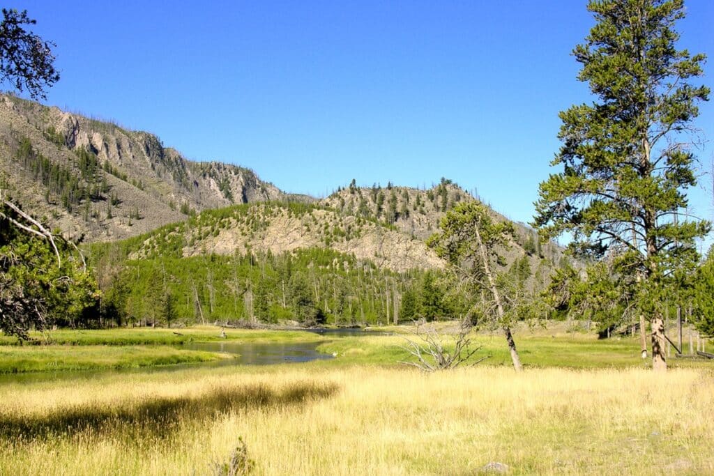 parc national de Yellowstone