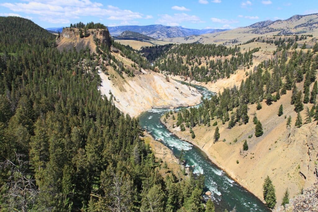 rivière Yellowstone