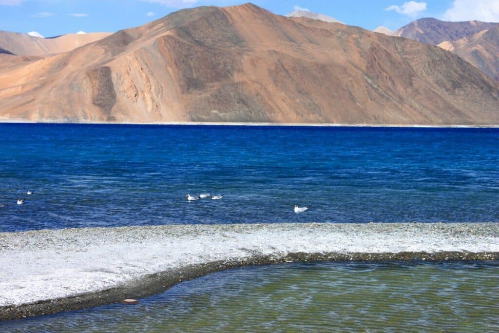 lac Pangong Tso