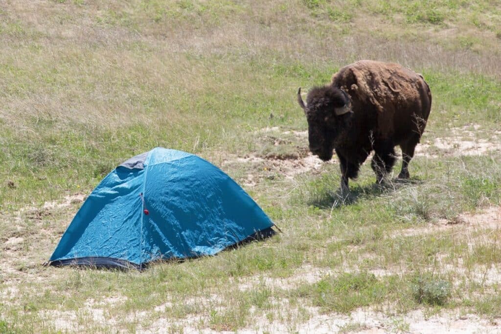 camping dans le parc national des badlands