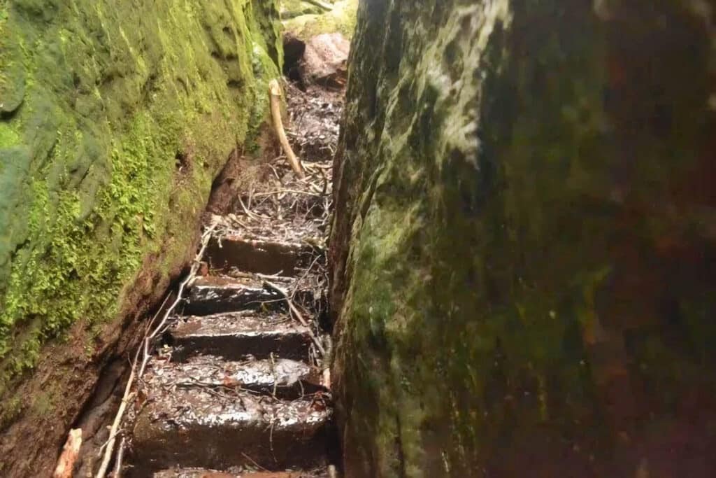 escalier en pierre dans la nature