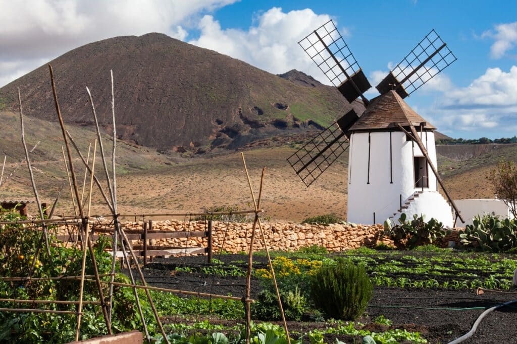 moulin Tiscamanita Fuerteventura