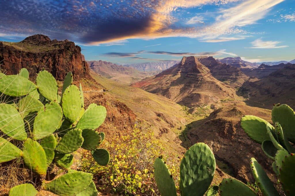 paysage montagnes Grande Canarie