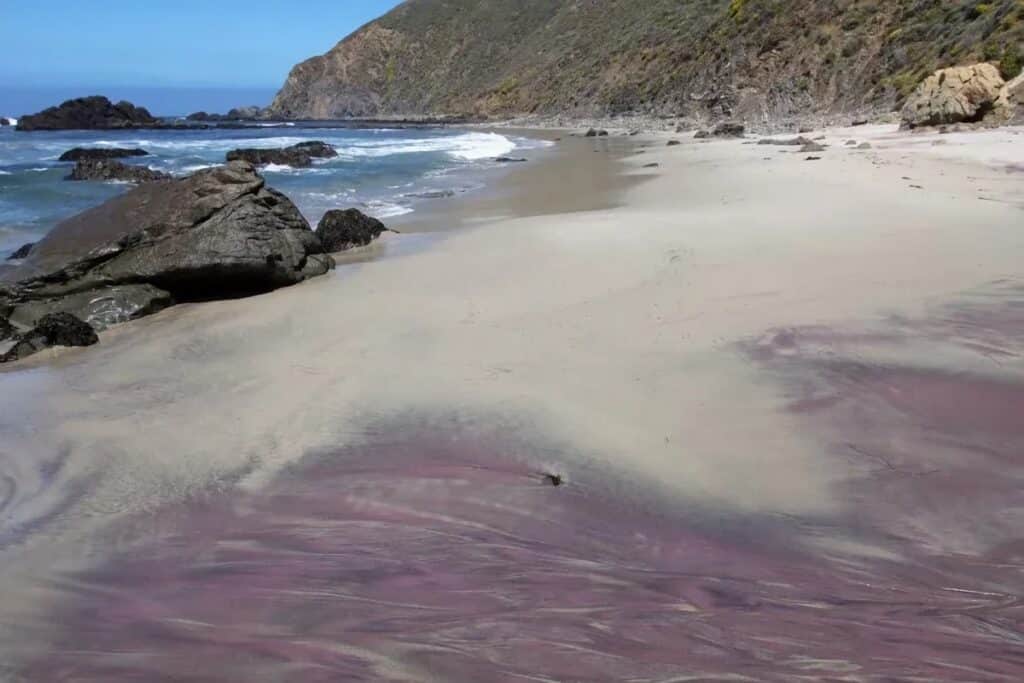 plage insolite aux états-unis