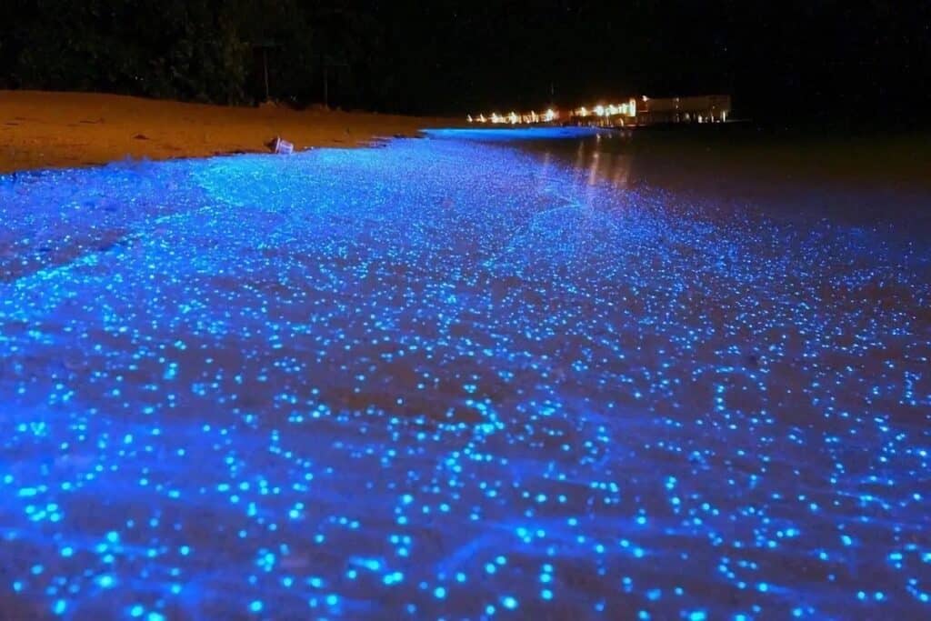 Plage bioluminescente maldives