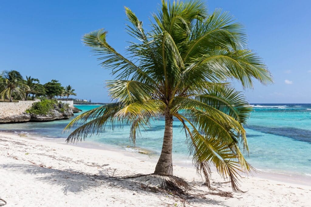 meilleure plage des îles caïmans