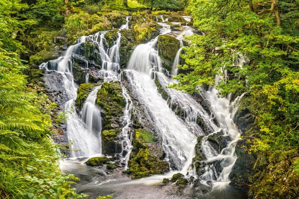 Swallow Falls