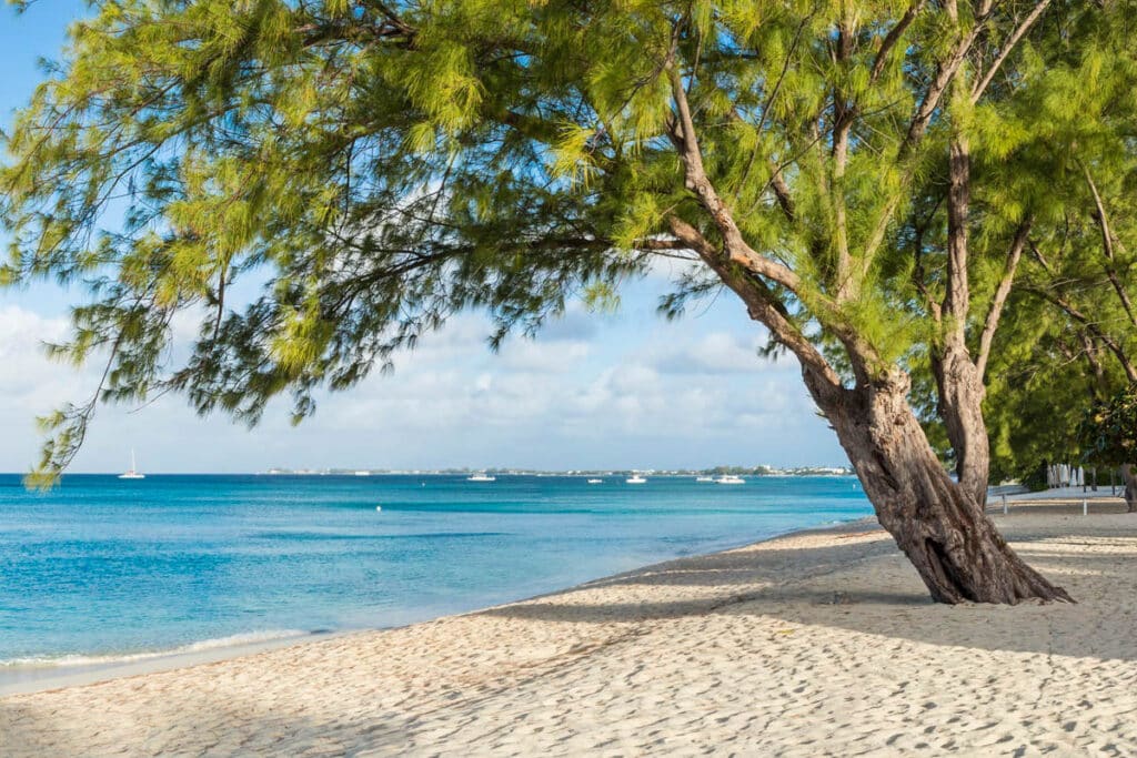 Seven Mile Beach plus belle plage des îles Caïmans