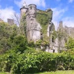 Château de Buchanan