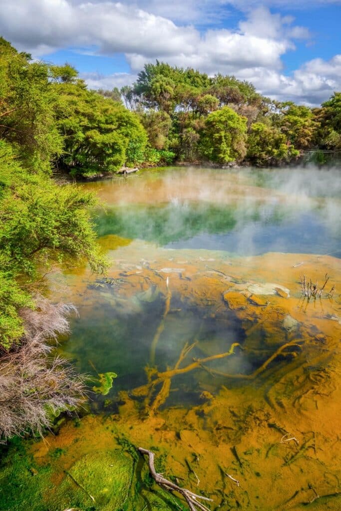 piscines naturelles