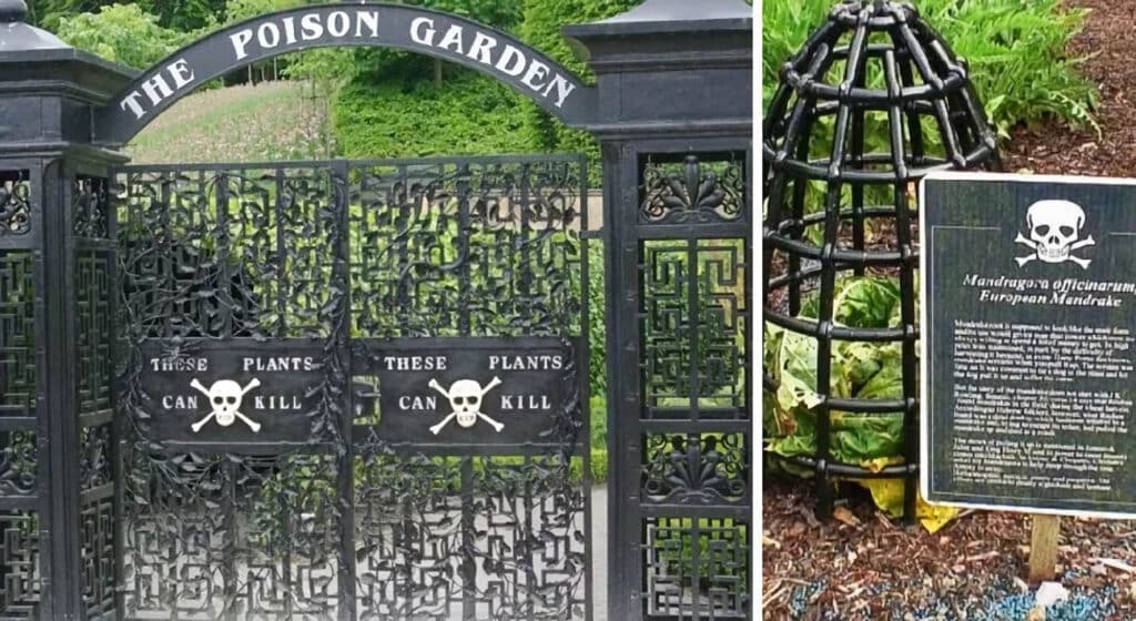 jardin des poisons