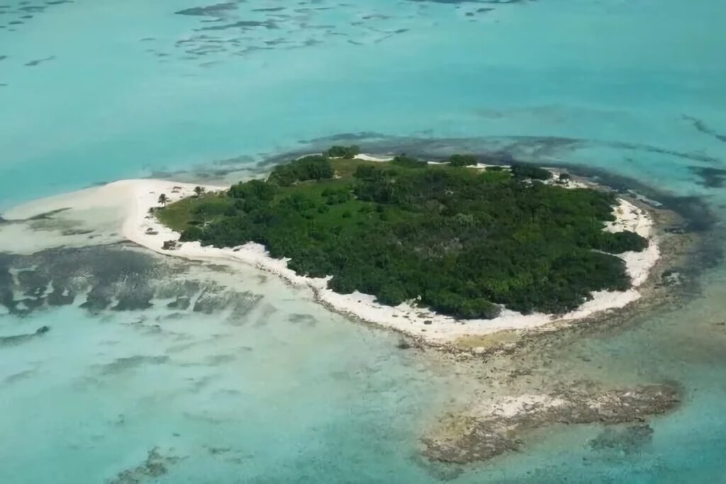 Owen Island