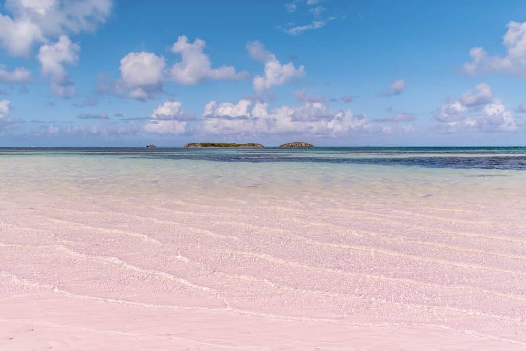 plage de sable rose aux Bahamas