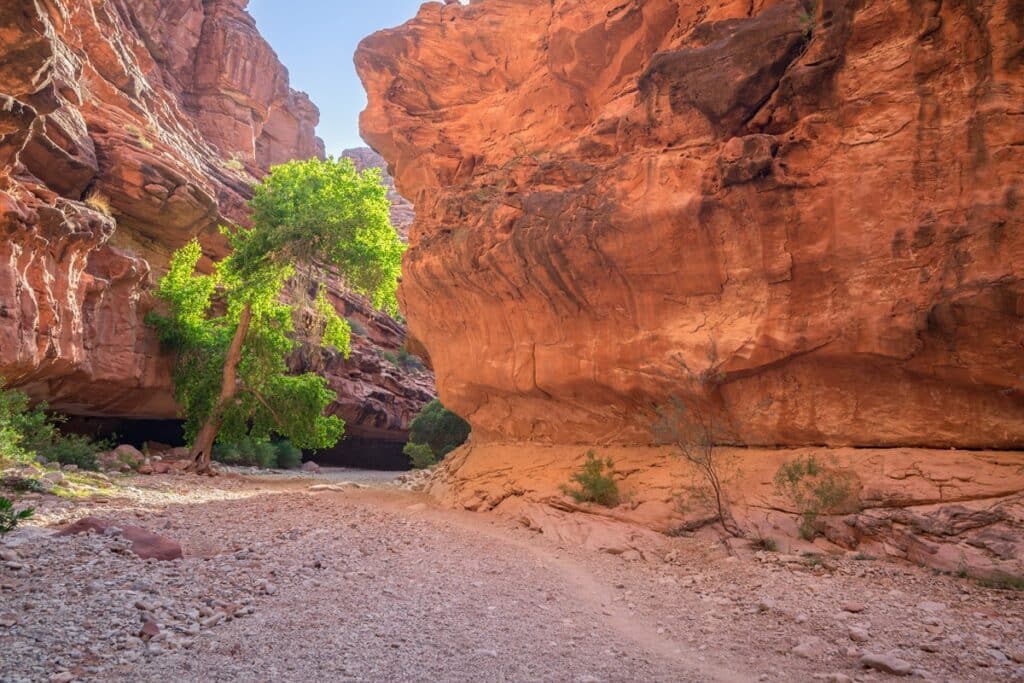 Randonnée canyon Havasupai en route vers les chutes Havasu