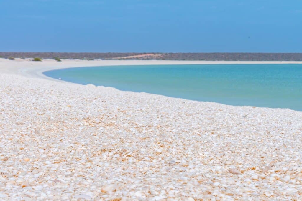 Shell Beach Australie