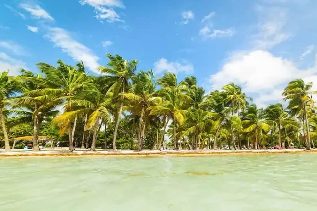 plage de bois jolan